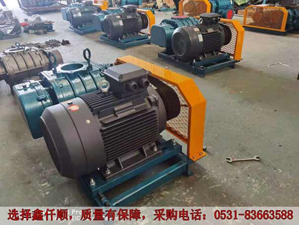 高压罗茨鼓风机 发货广西高压罗茨鼓风机XQSSR15030KW6台(图2)